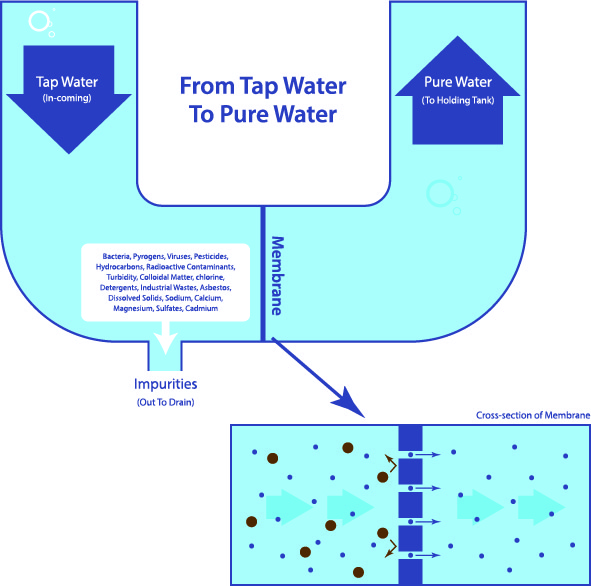 How to improve the taste of RO water - Netsol Water