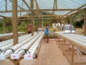 Hydroponic growing