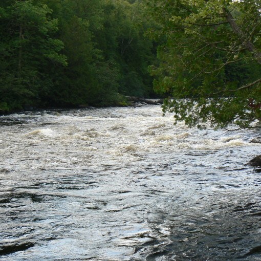 Dumoine River and its quality water