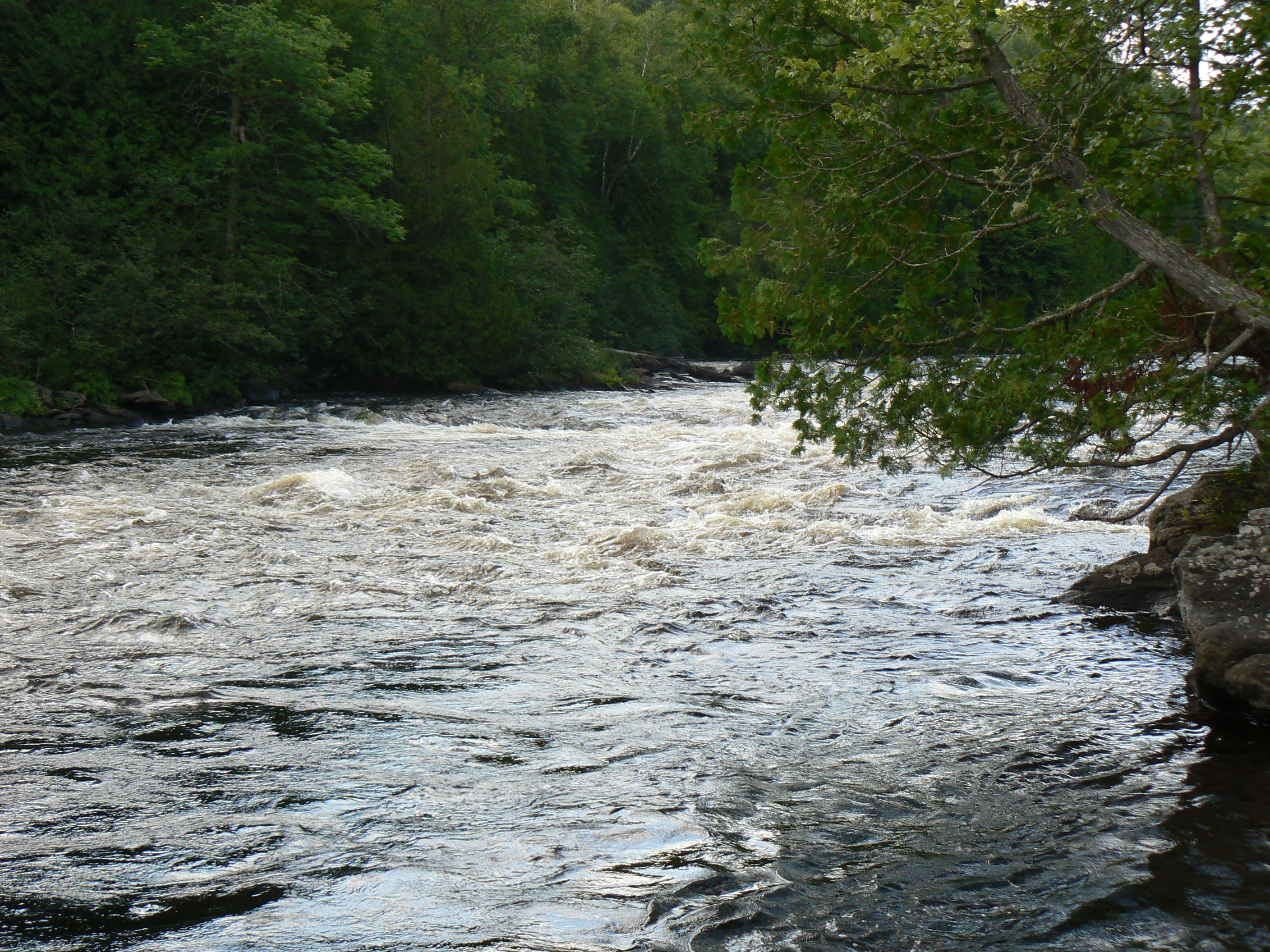 Dumoine River and its quality water