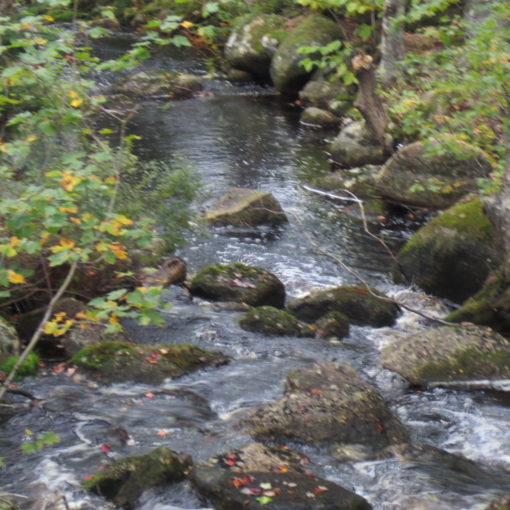 Natural Healthy Water